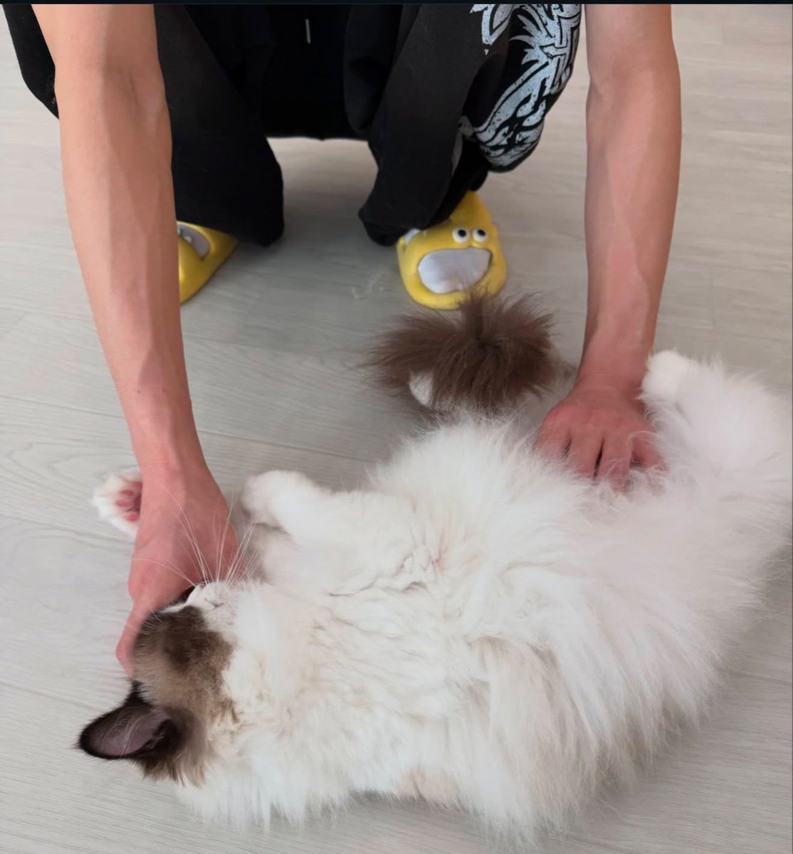 sydie ✩(˃ ᵕ ˂ )✩ tweet media