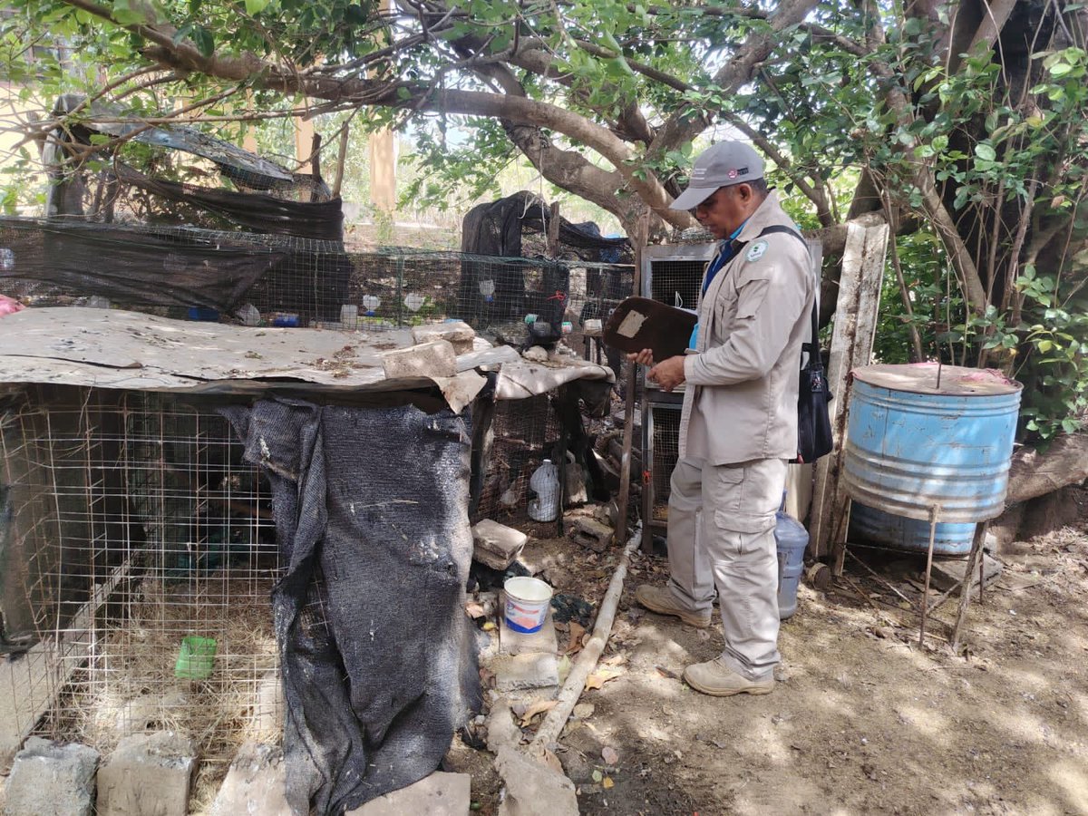 Ministerio de Salud de Panamá tweet media