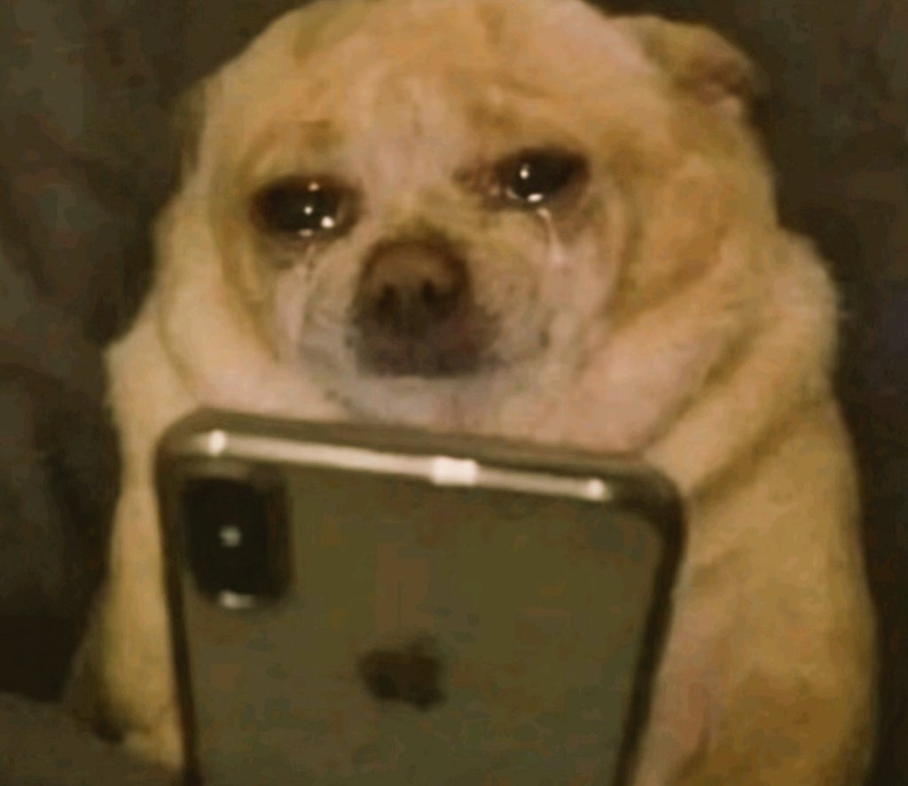 MARO🏆🏆🏆 tweet media