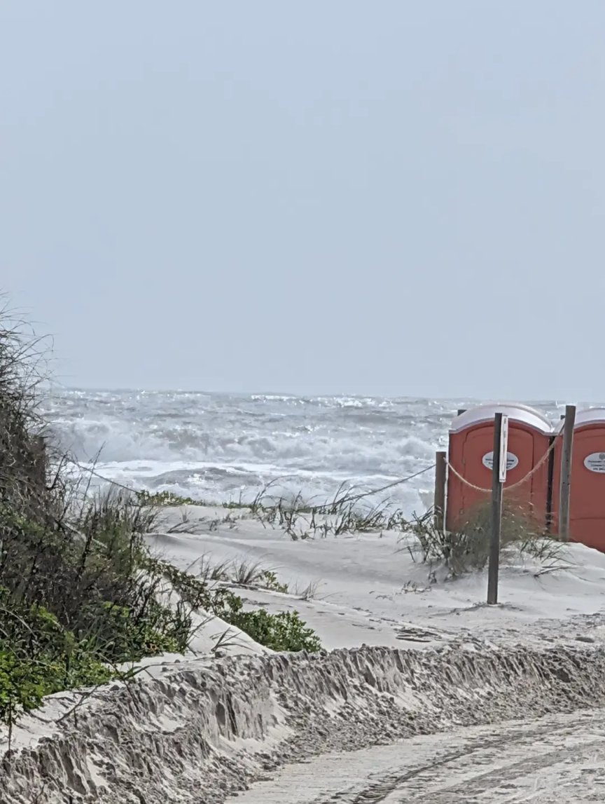 Flying Lizards tweet media