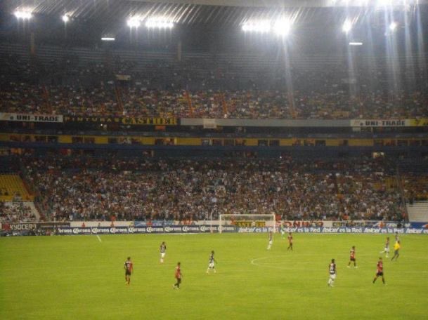 🐻OSO MONTERREY CFM⚽️🏴 tweet media