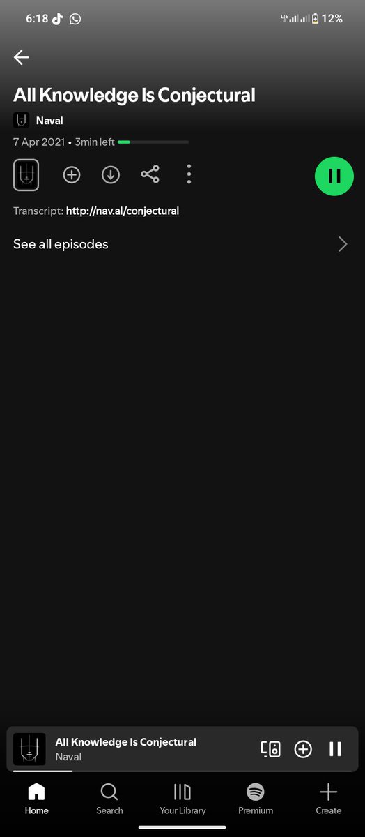 Alpha Queen tweet media