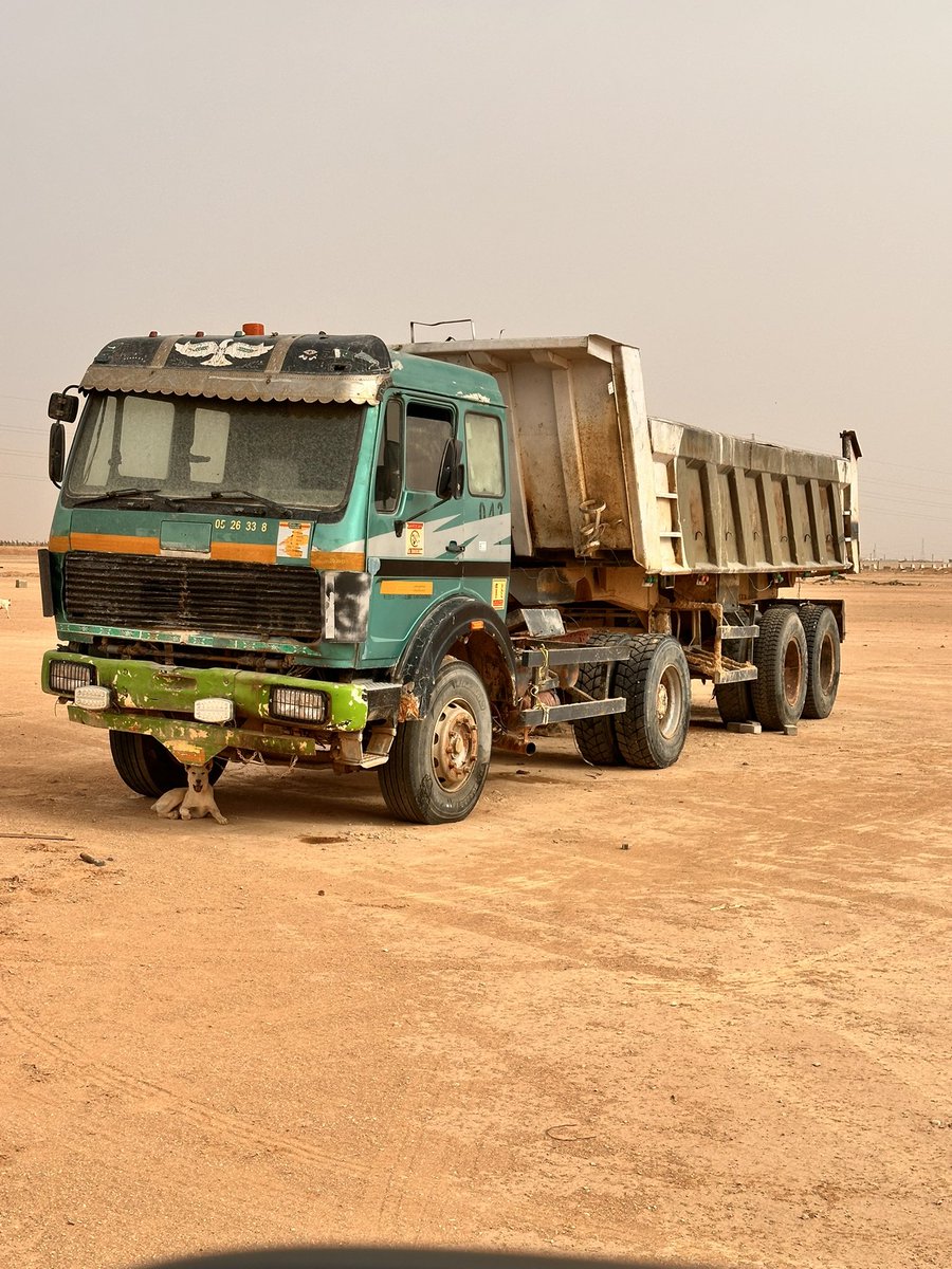 الزعبي السلمي tweet media