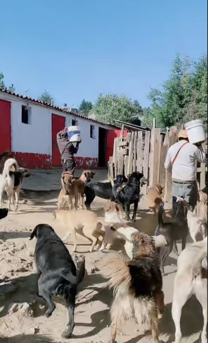 Oceanican tweet media