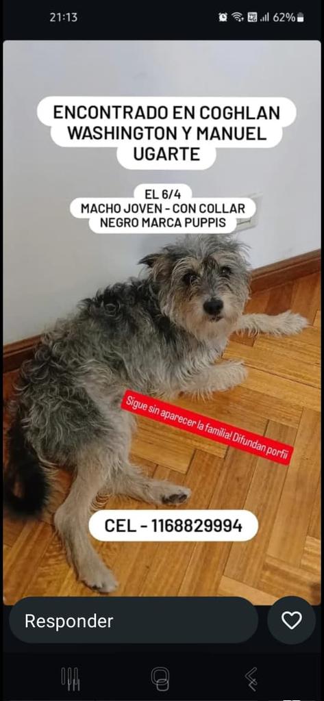 Patri tweet media