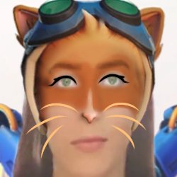 hetero de schrödinger tweet media