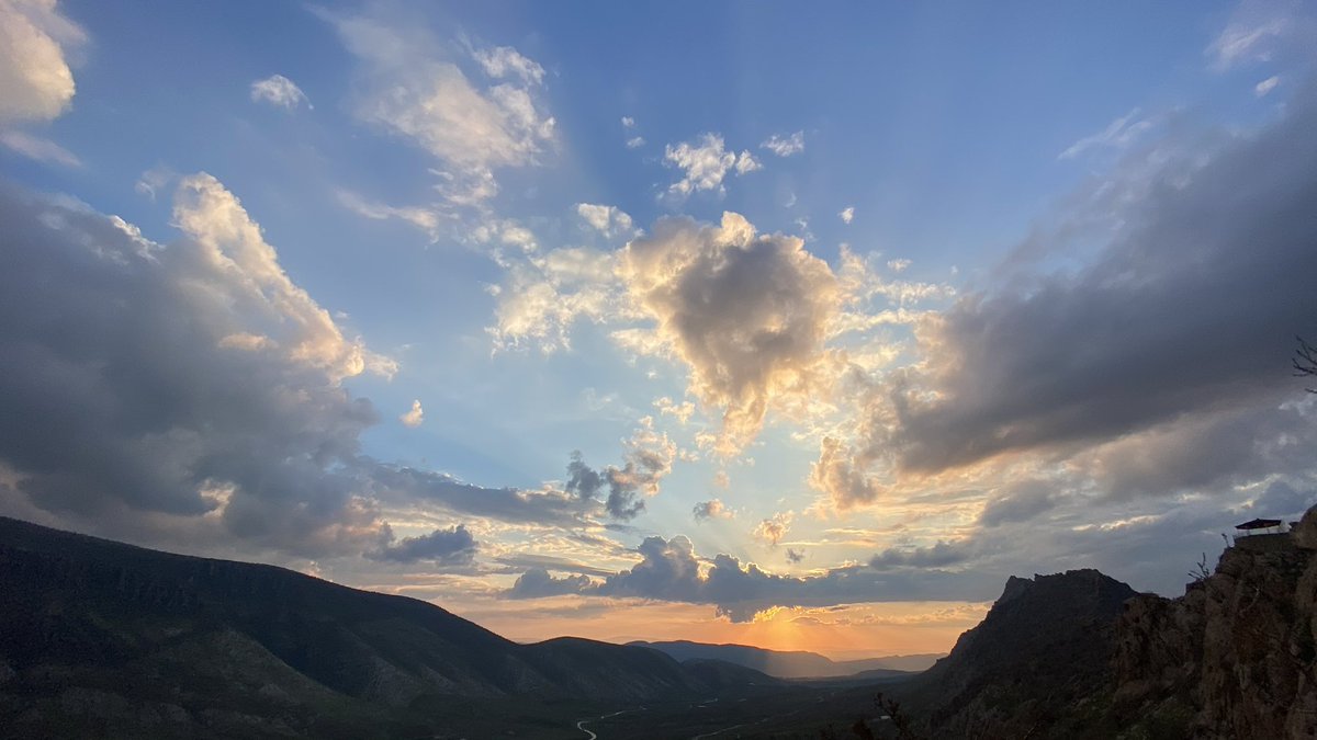 ئالانــی tweet media