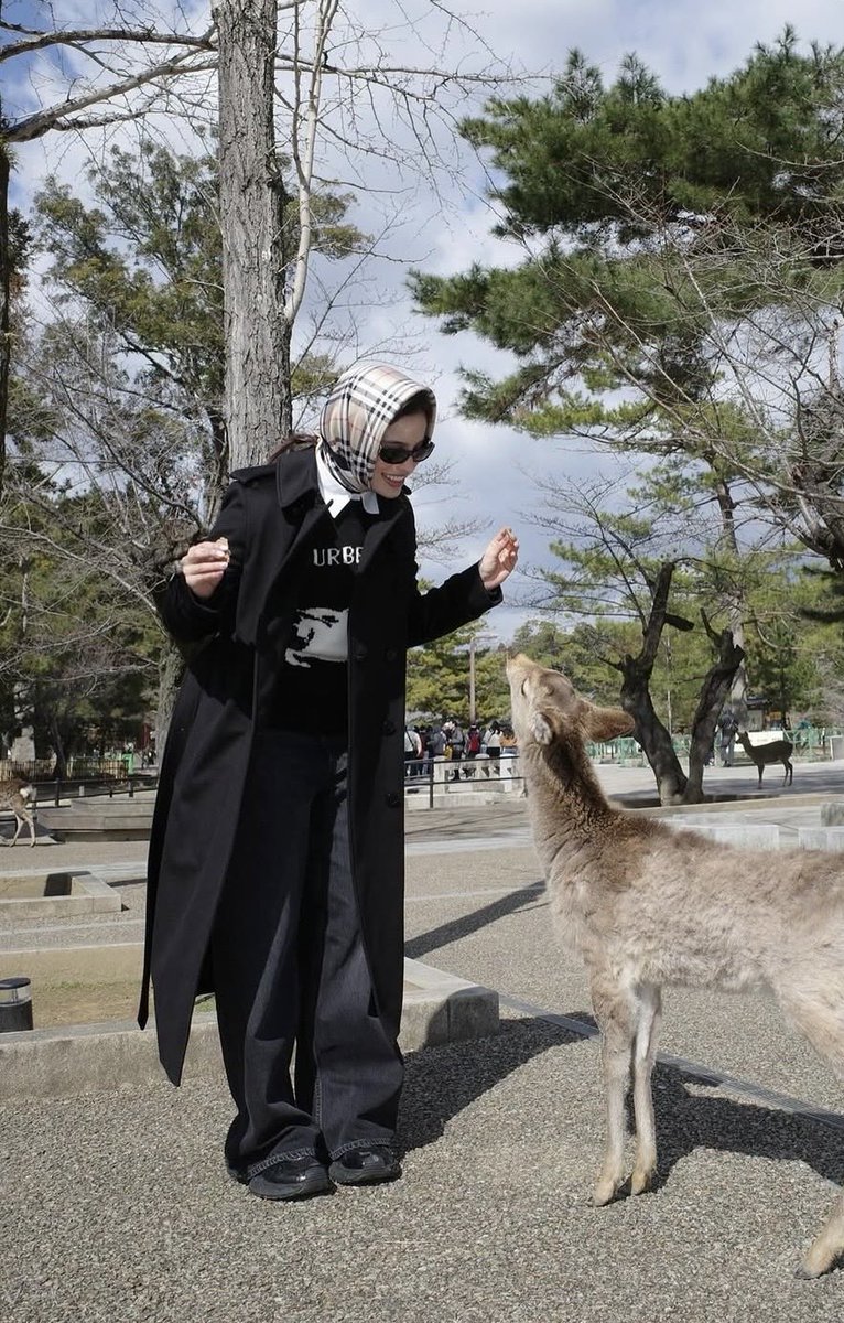 Enchinada🪭 tweet media