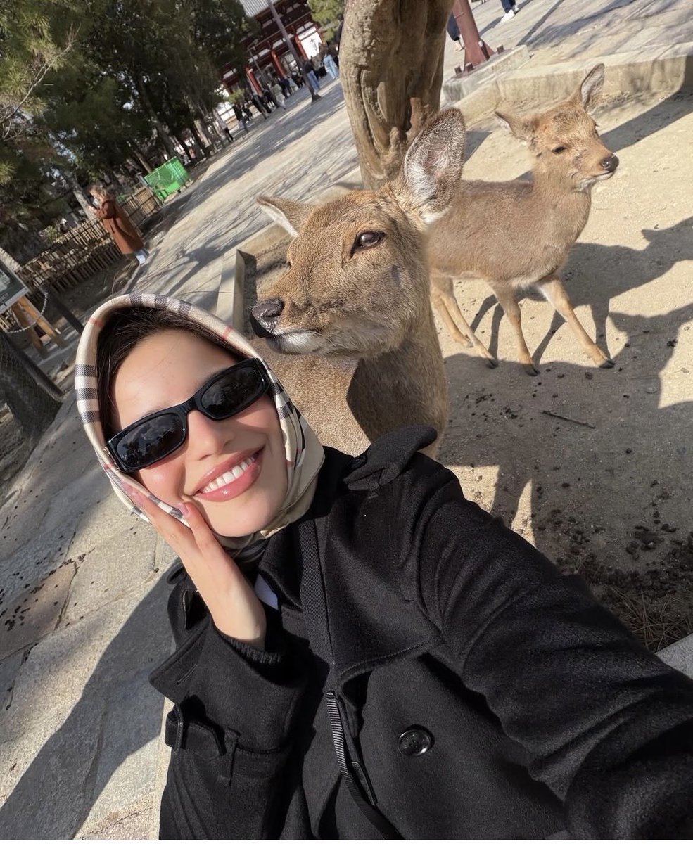 Enchinada🪭 tweet media