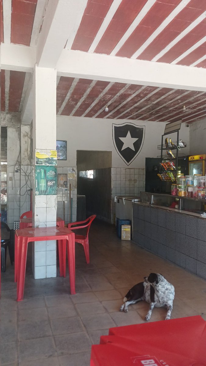 bruca★彡 tweet media