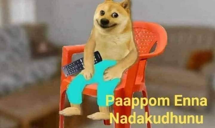 நானொரு முட்டாளுங்க tweet media