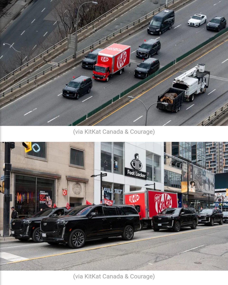 Investobi tweet media