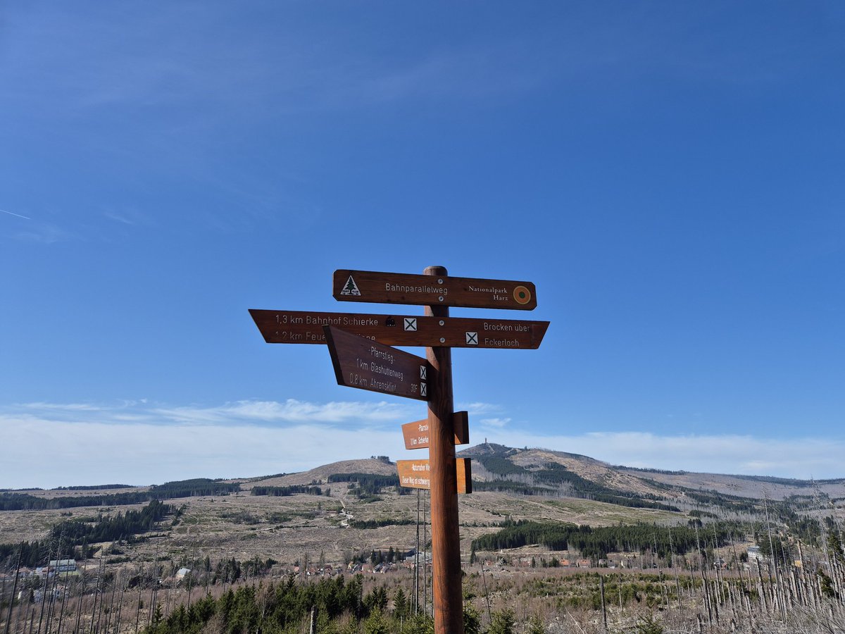 crispy roots tweet media