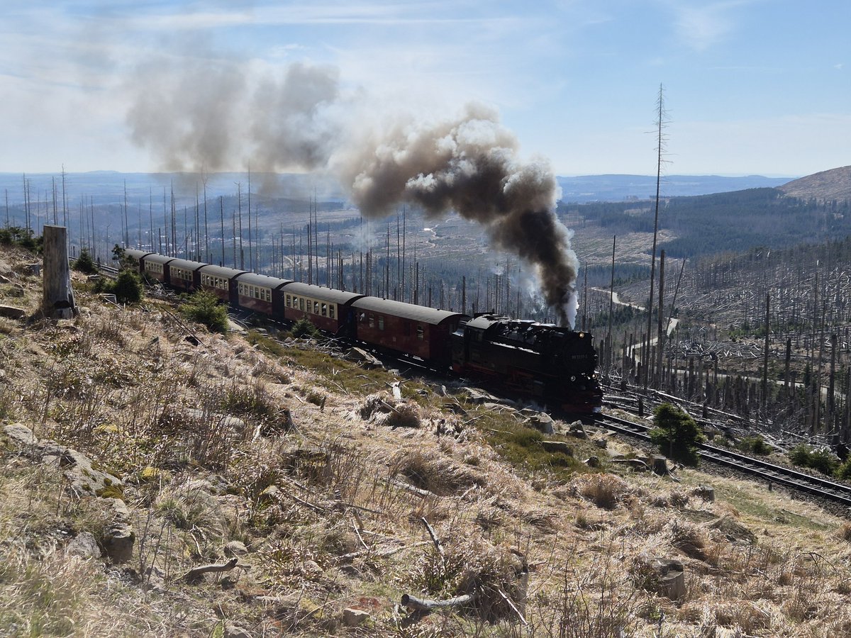 crispy roots tweet media