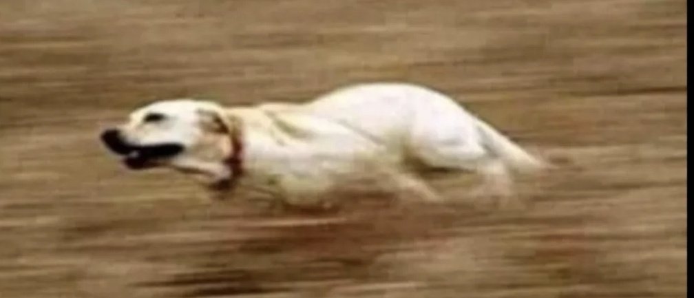 7 year me running to give my dad his phone after Tony Work 3 is calling..