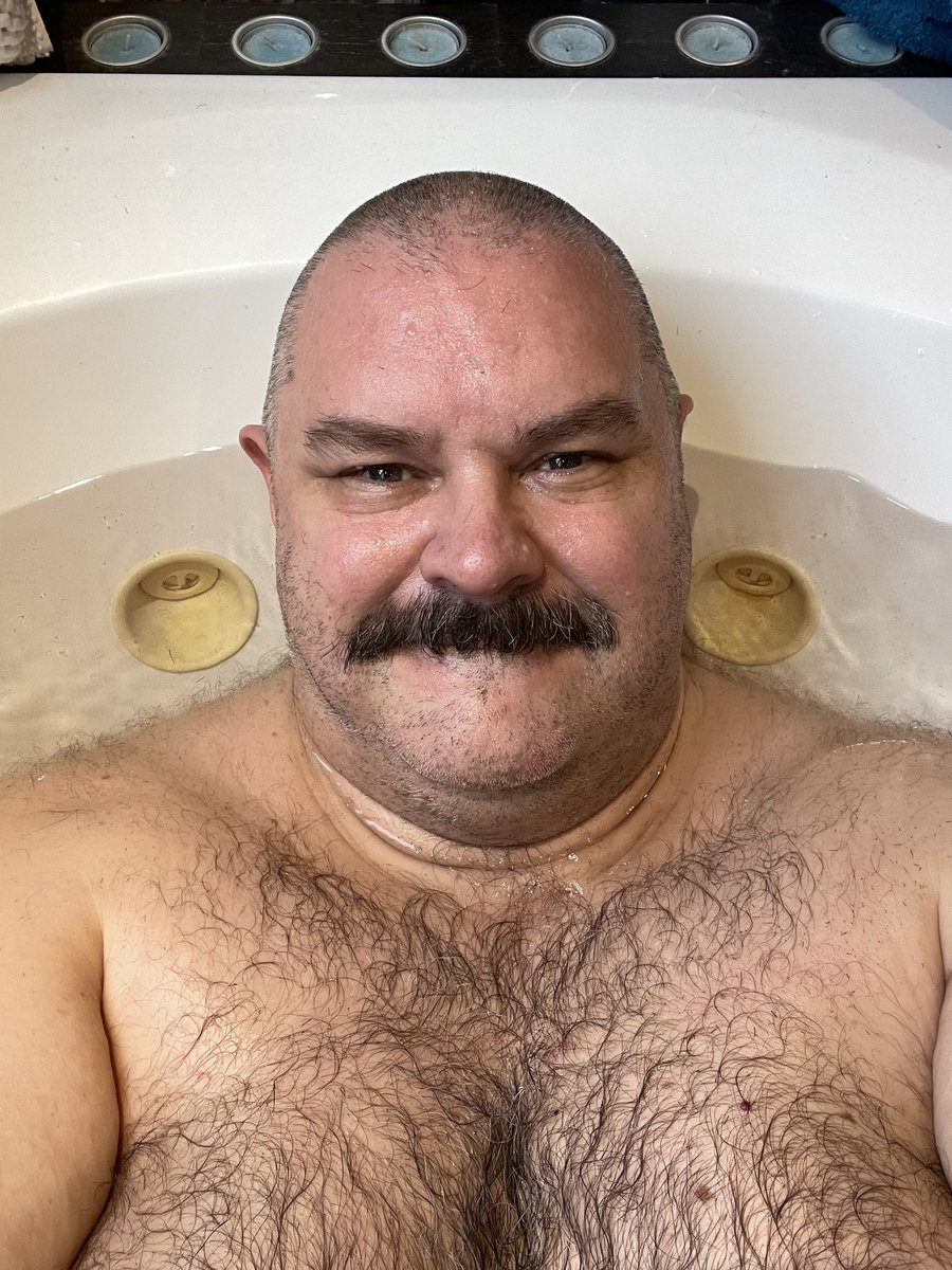 Chubby Dad Bear tweet media