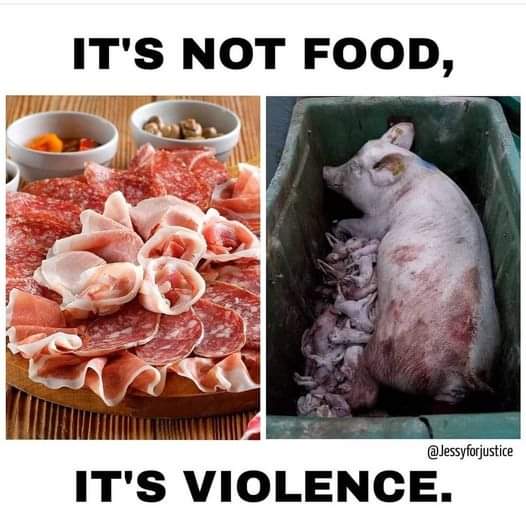 riⓋer Haoshoku Haki tweet media