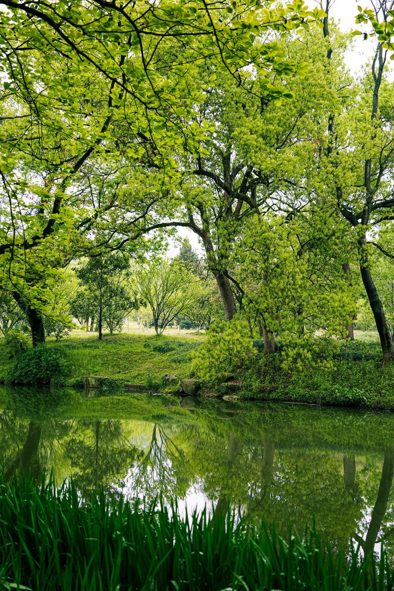 Jonathan Cox tweet media