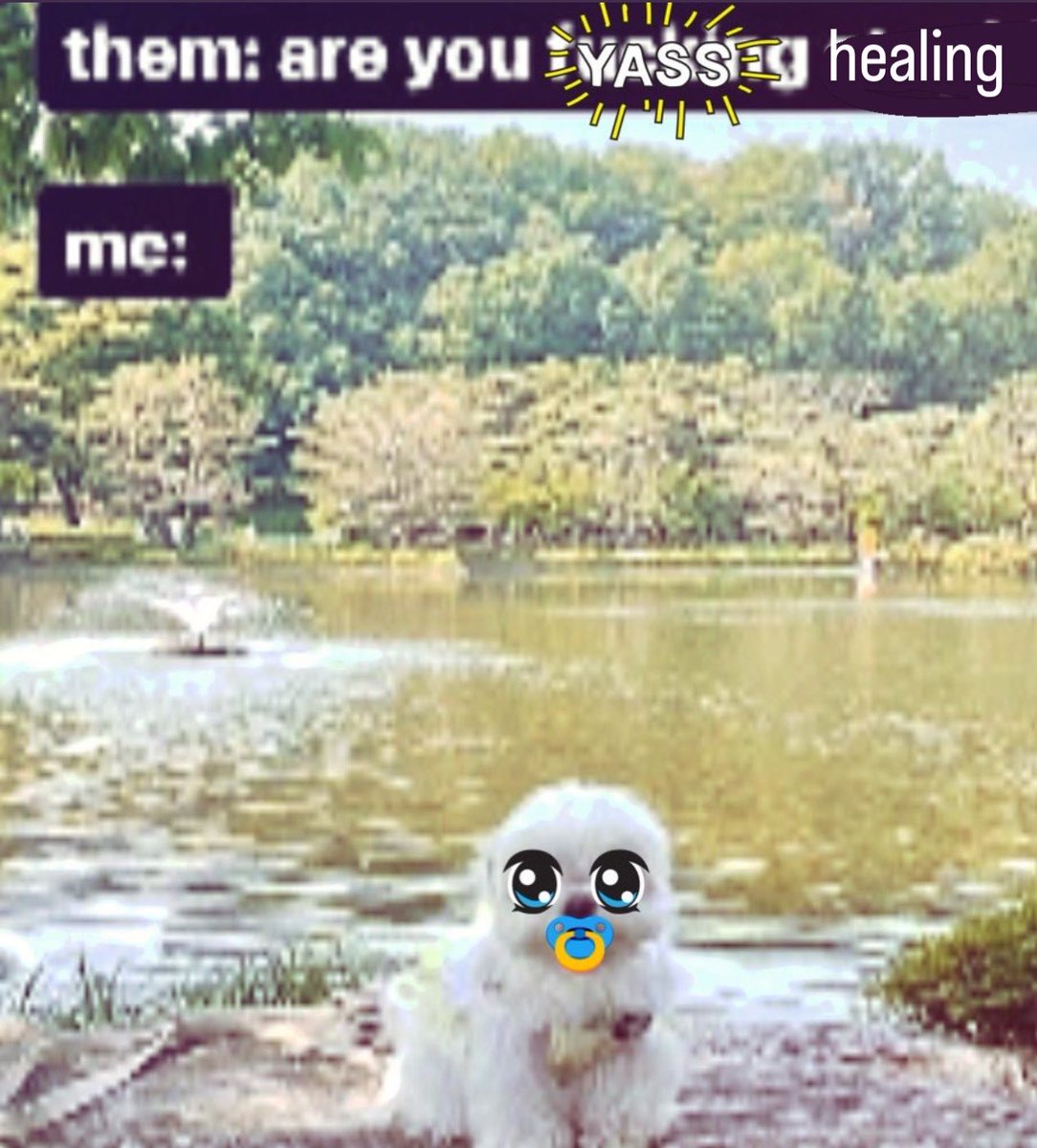 bruciebrina's tweet image. 