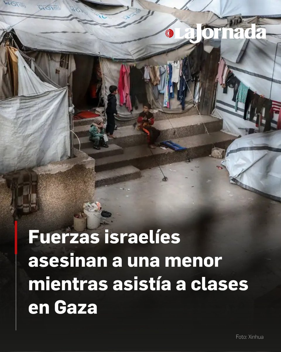 La Jornada tweet media