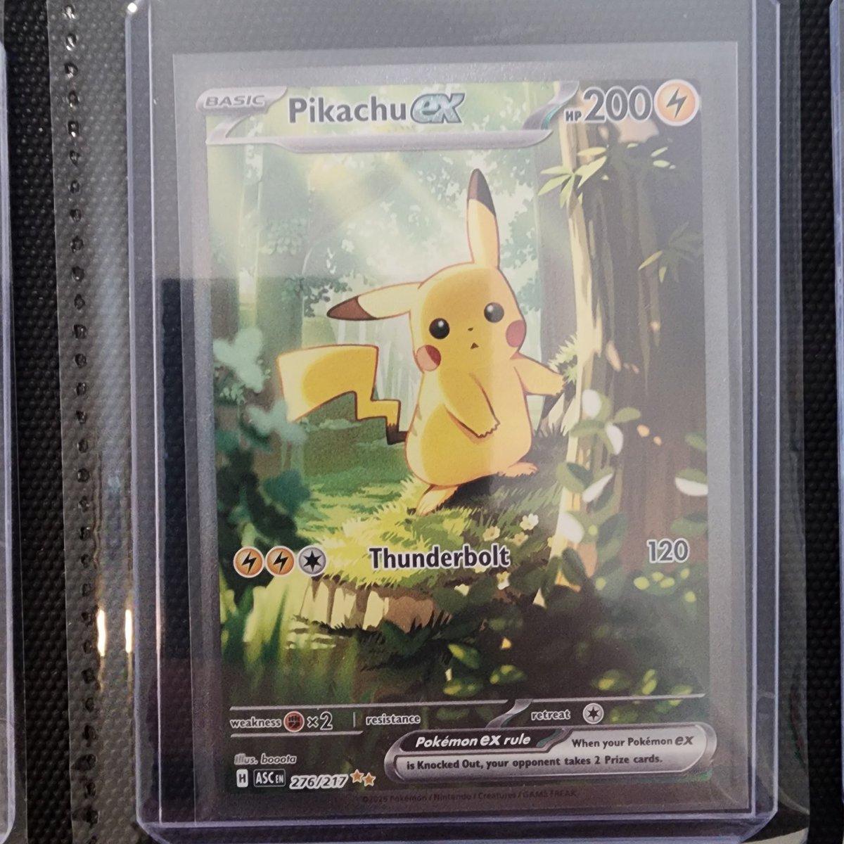 NFTSupaman's tweet photo. @dachshundwizard Big Pikachu fan https://t.co/Dgf7fz2t3E