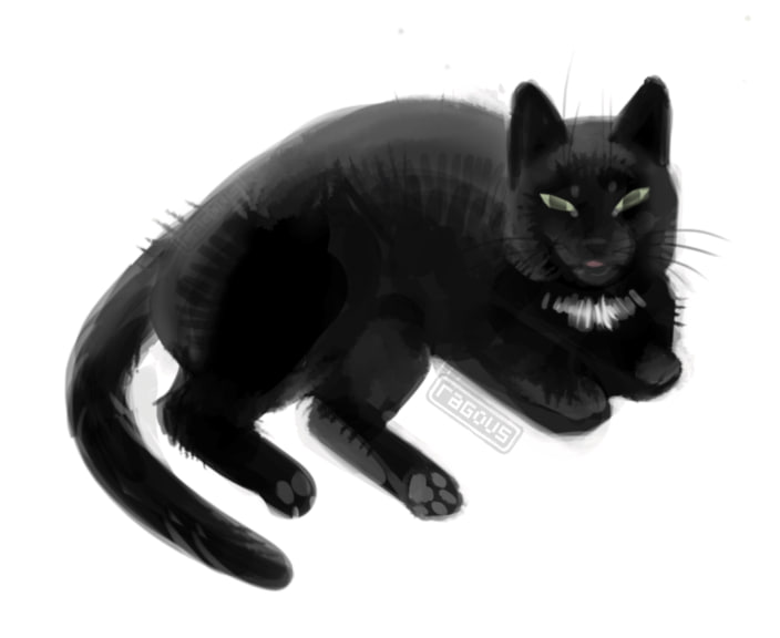warm-up doodle of Muszka, who kindly stayed still for 5 minutes, so I could capture the pose