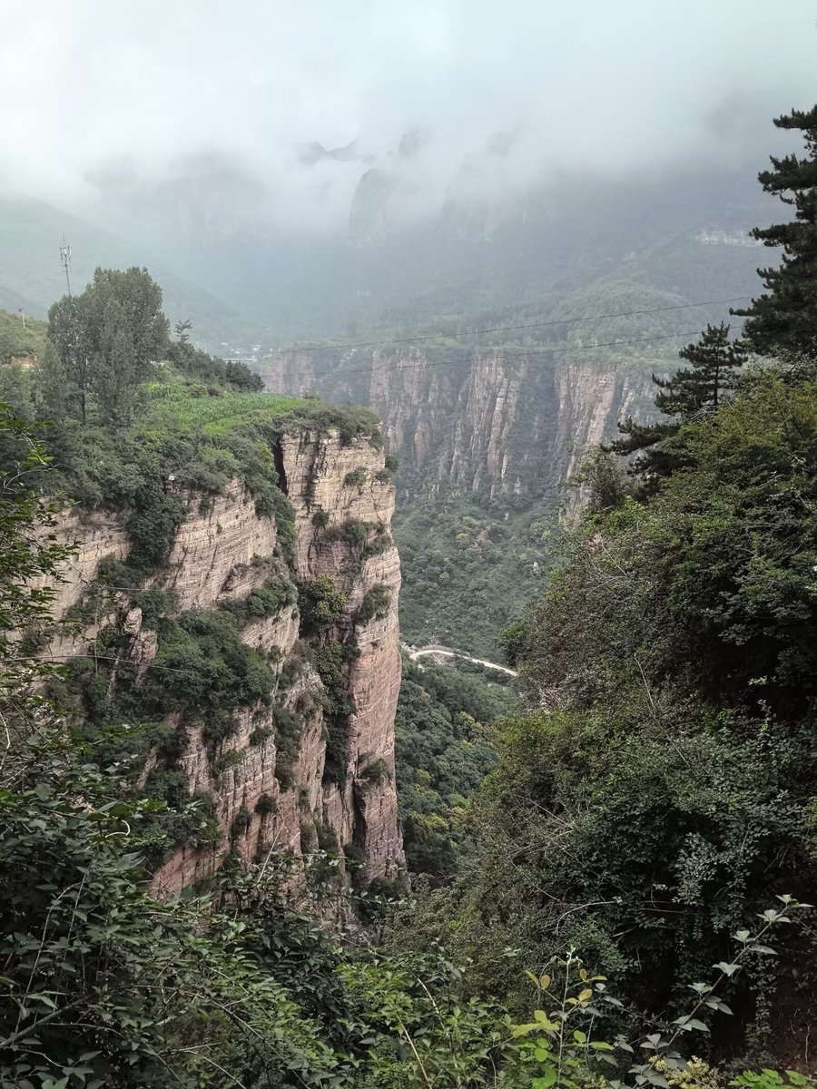 kolli hari babu tweet media