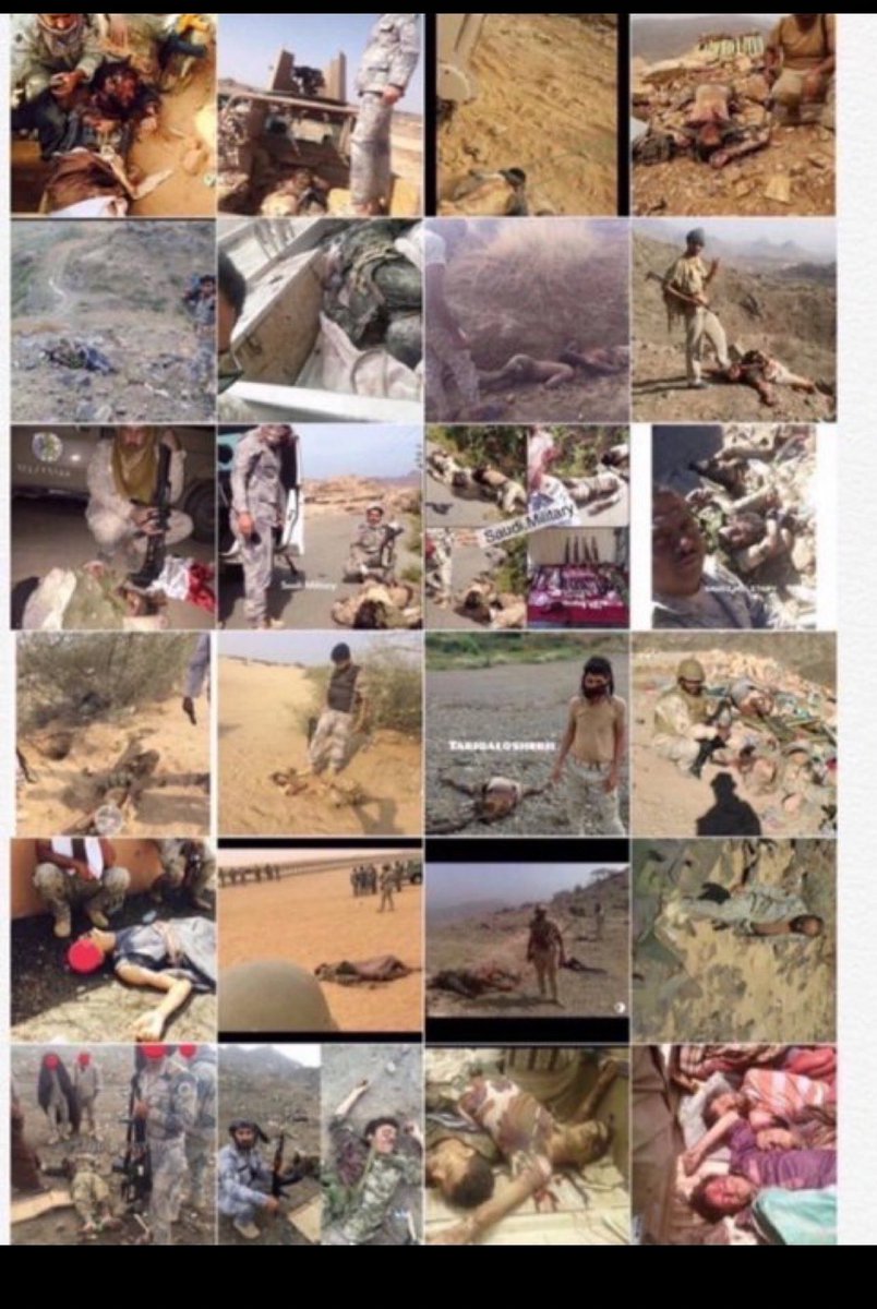 👸🏻 tweet media