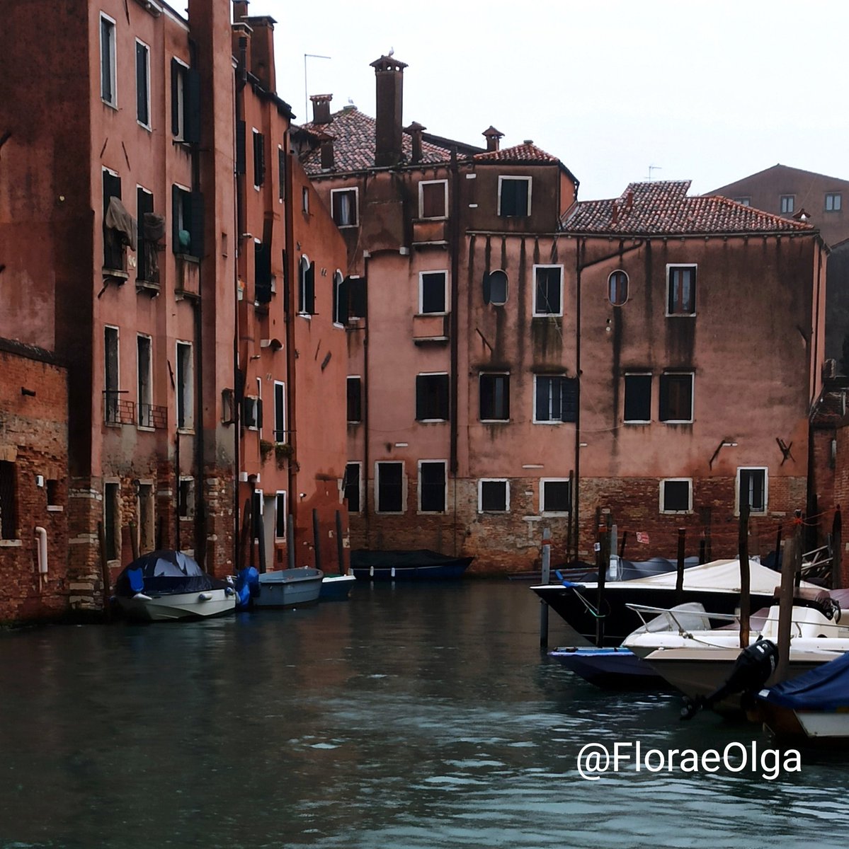 Flora e Olga 🏳 tweet media