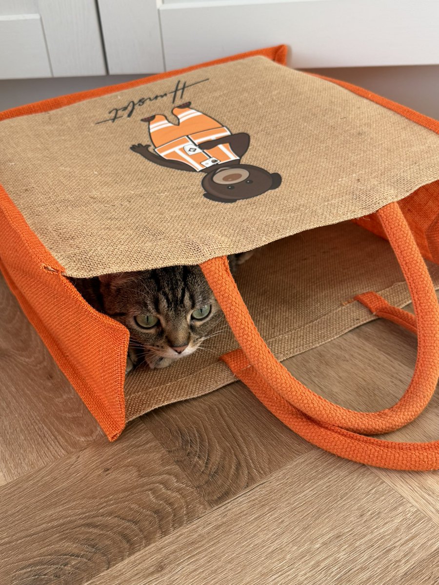 TheMeerkatExpress tweet media