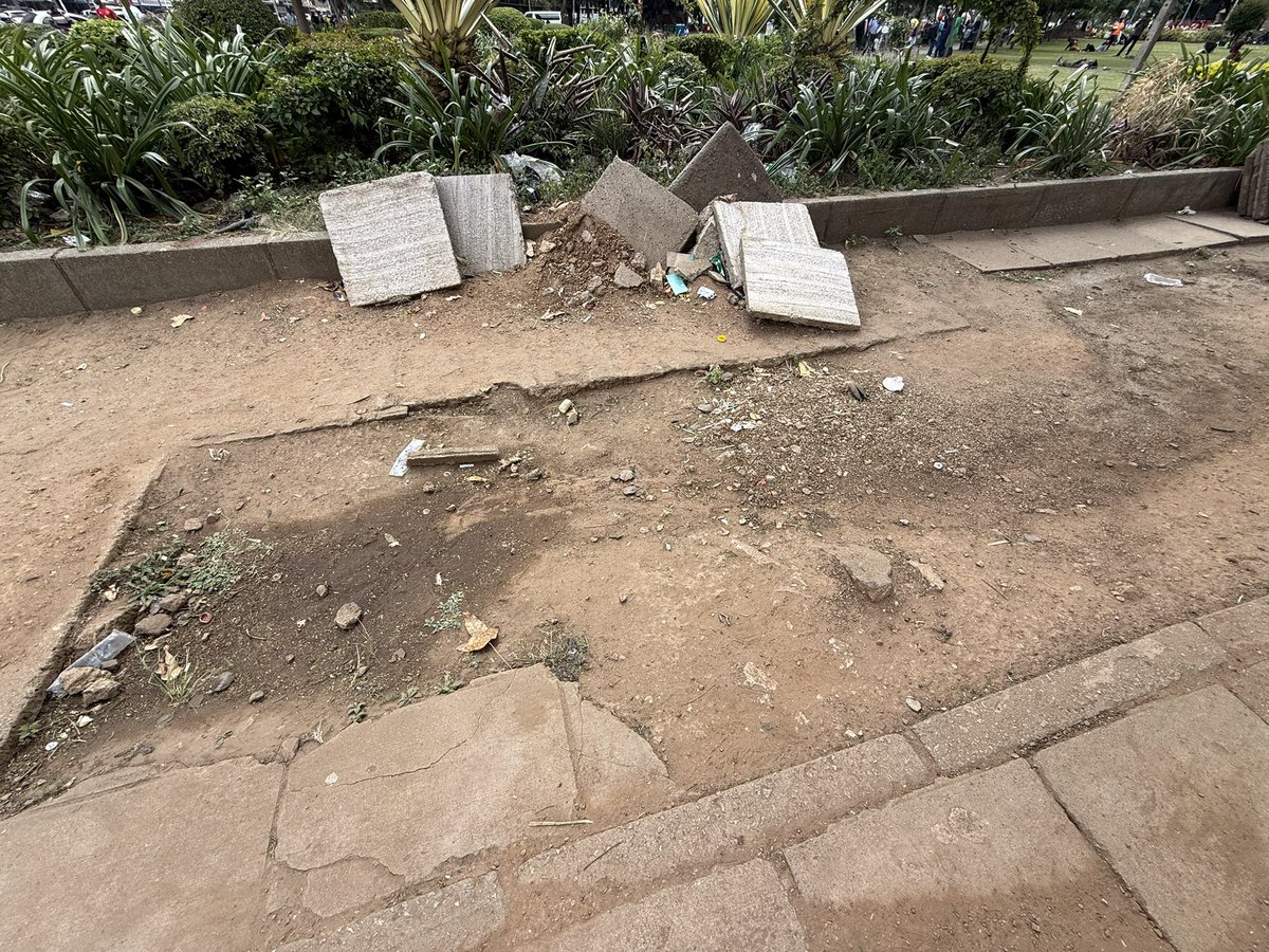 Fadzayi Mahere🇿🇼 tweet media