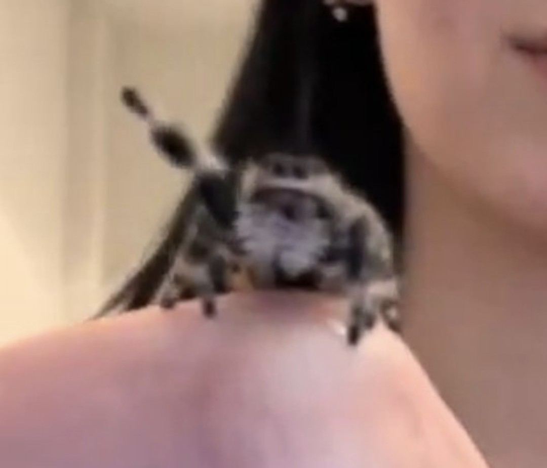 Ups 🇦🇷 tweet media