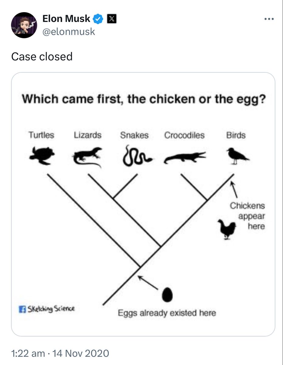 Yulia Mit tweet media