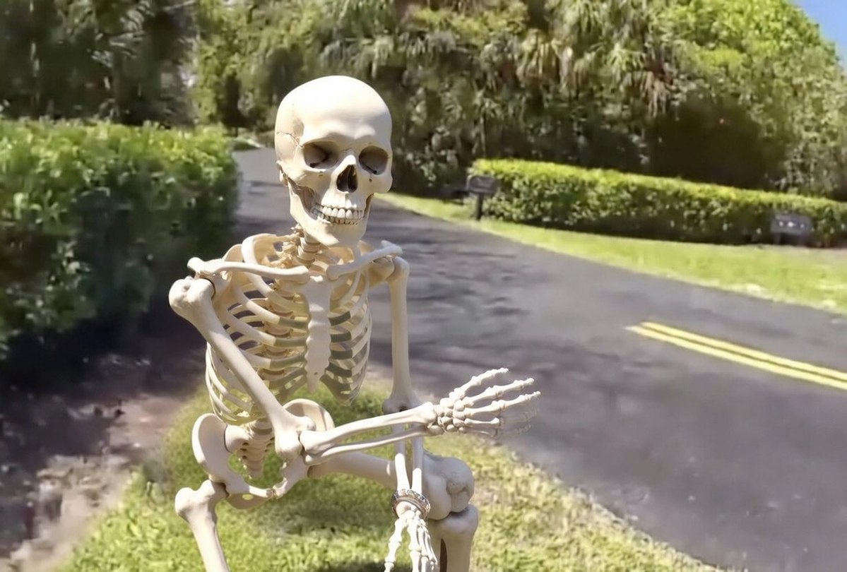 Tiger Woods Memes tweet media