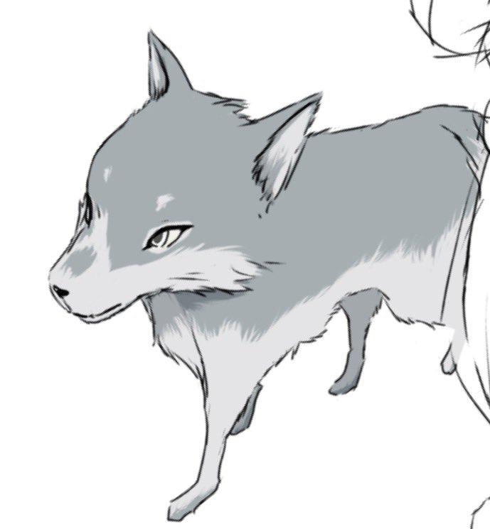 うさぎ tweet media