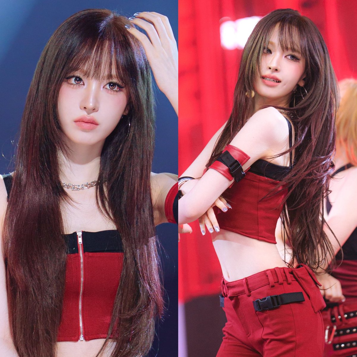 acervo liz tweet media