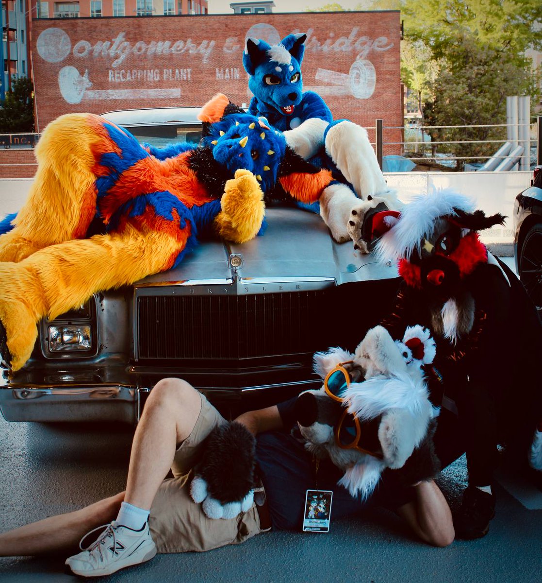 Mark_The_Dragon tweet media