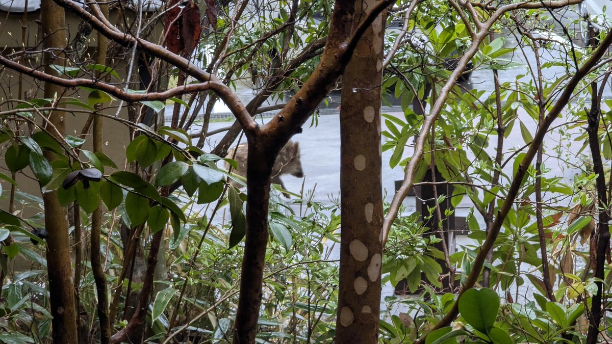 まえちゃん@ポンコツCE tweet media