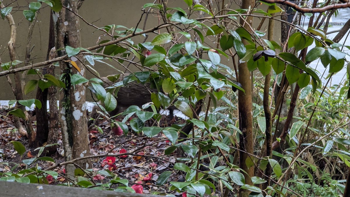 まえちゃん@ポンコツCE tweet media