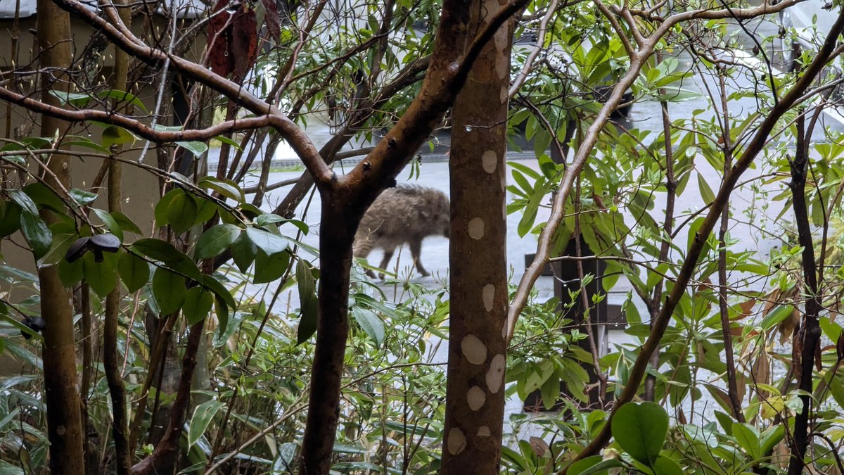 まえちゃん@ポンコツCE tweet media