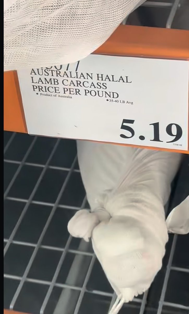 John Ferguson tweet media