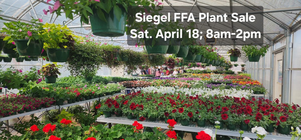 Mrs. Pendergrass Ag tweet media