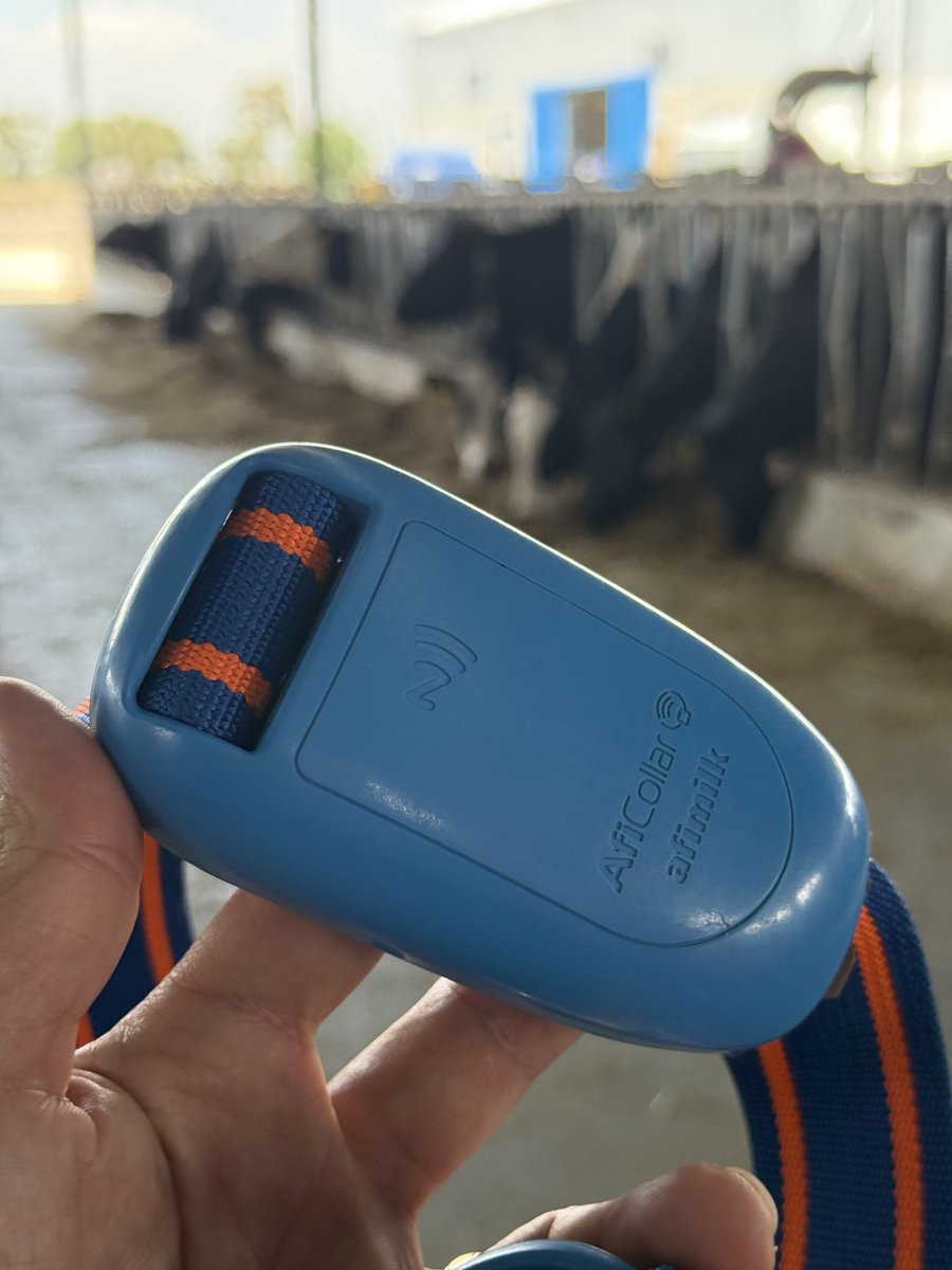 agronomoMX's tweet photo. De lo que más disfrutamos, la oportunidad de colaborar con profesionales y probar nueva tecnología que ayude a transformar de manera eficiente y sustentable a los sistemas agropecuarios. https://t.co/YVp2BqBoGg