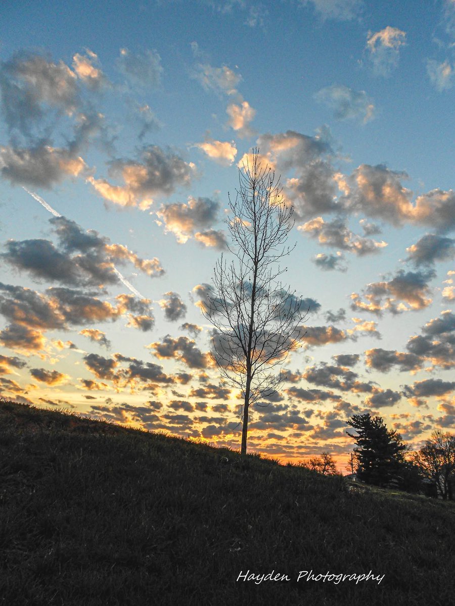 Hayden Photography tweet media