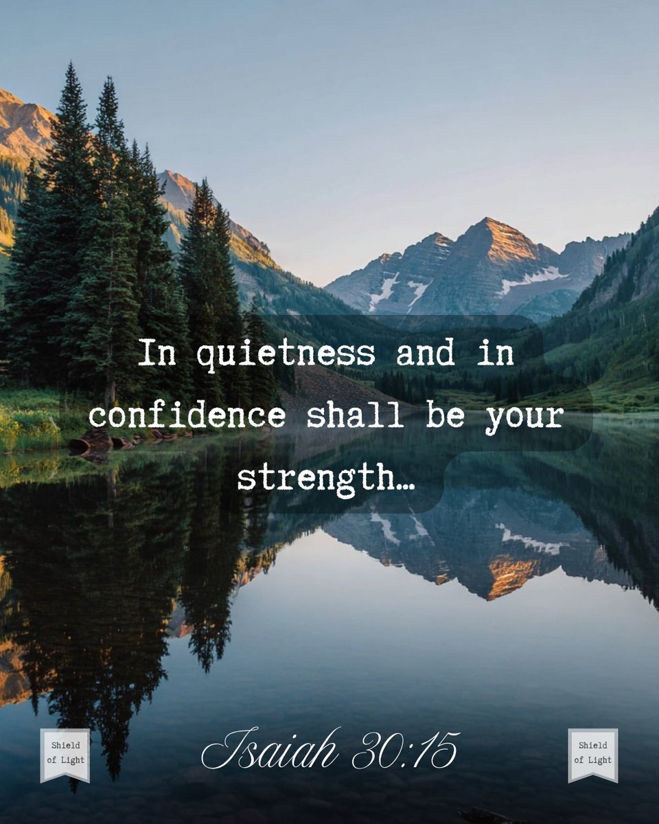 The Shield of Light tweet media