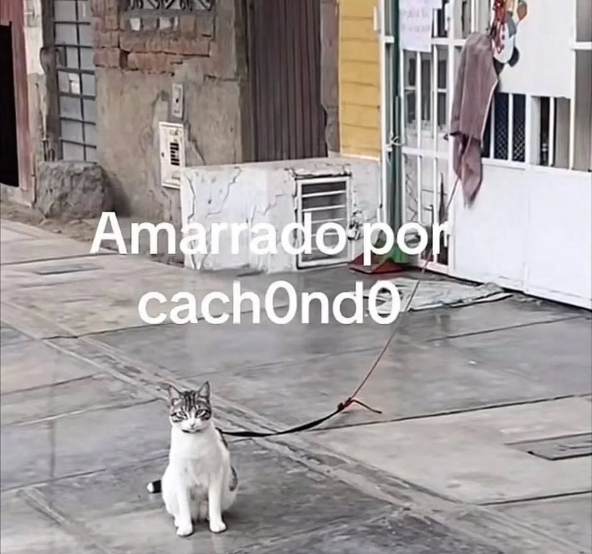 En Júpiter tweet media