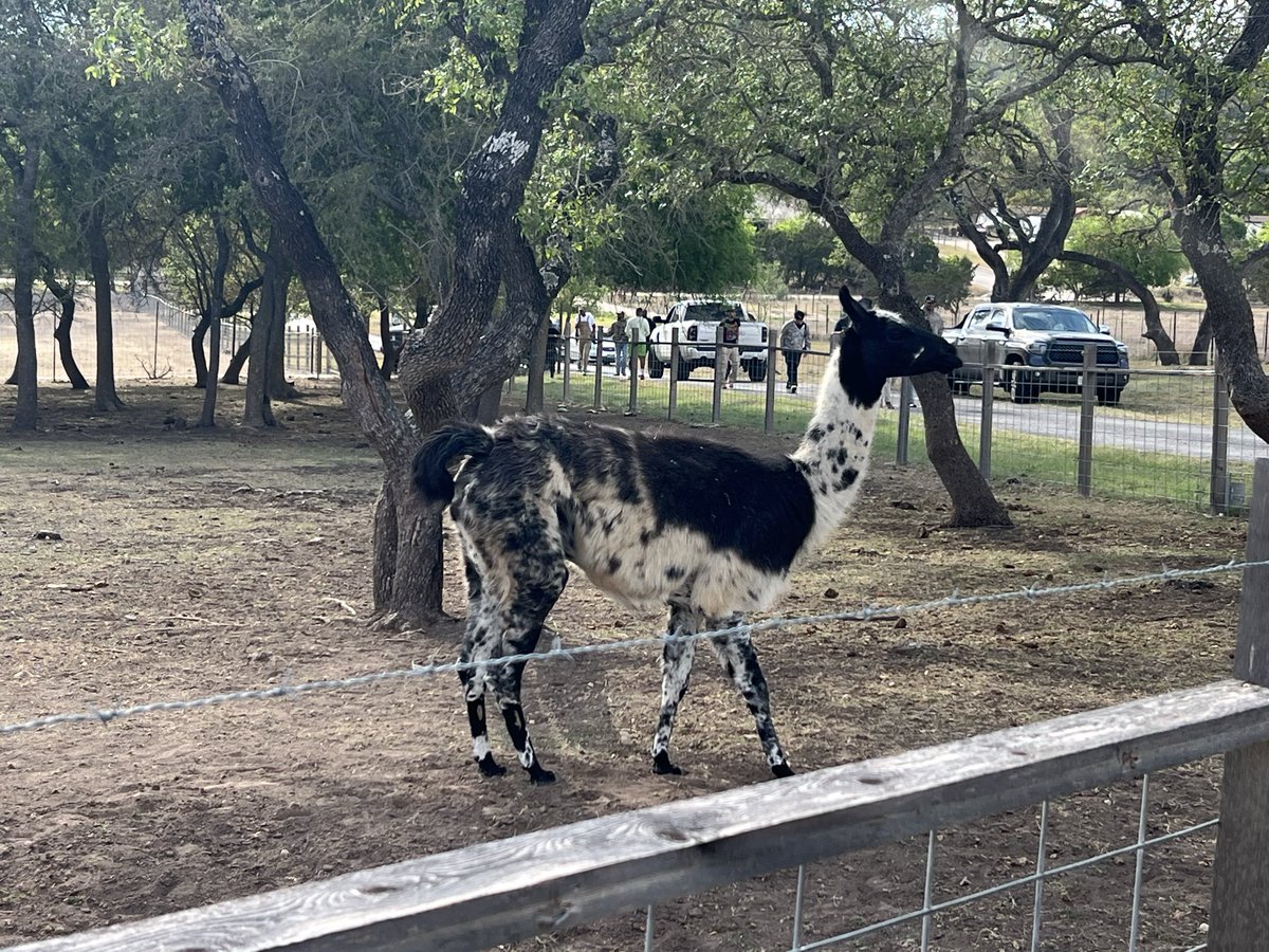 Michael C. Wright tweet media