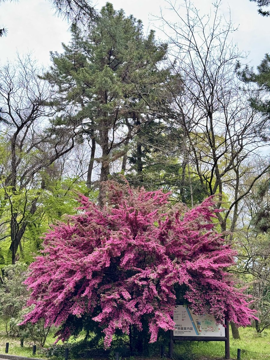 🎐🌻ゆーひん🌻🎐 tweet media