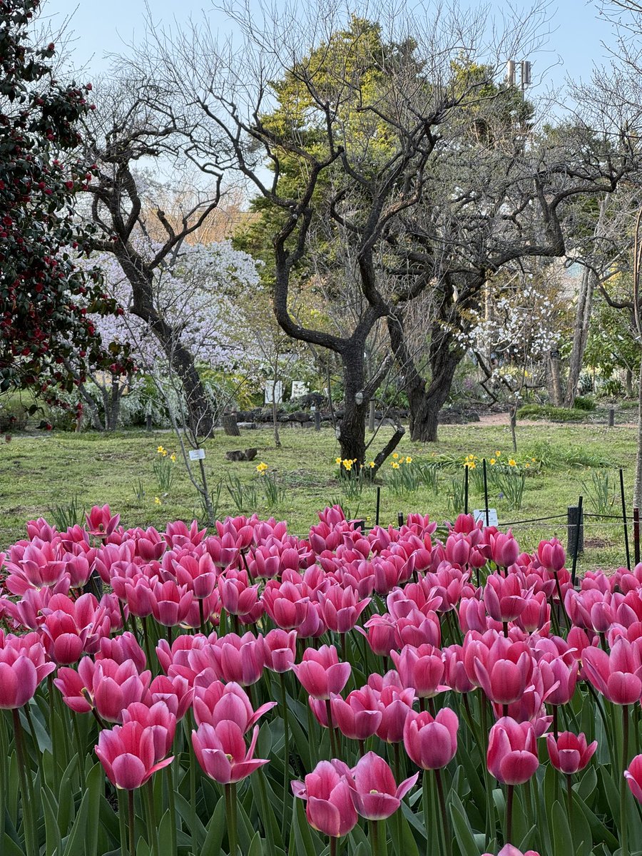 🎐🌻ゆーひん🌻🎐 tweet media