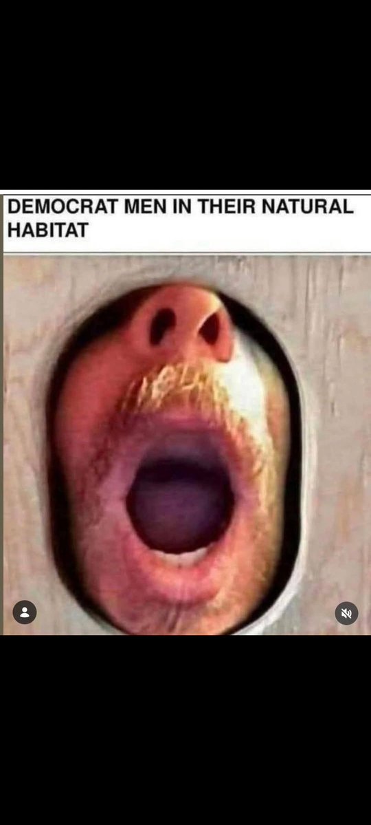 Dizzy P. tweet media